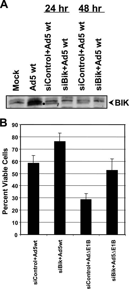 FIG. 7.