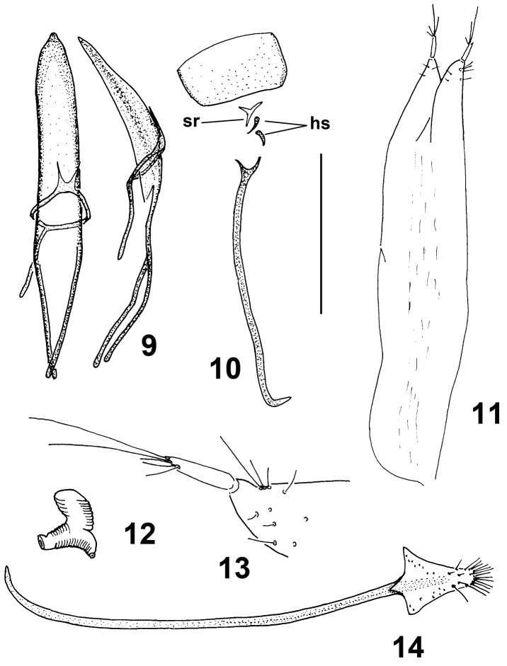 Figures 9–14.