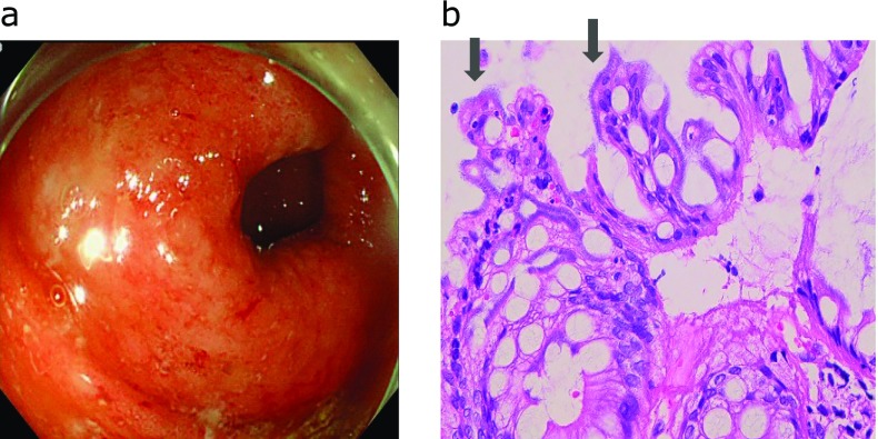 Fig. 4