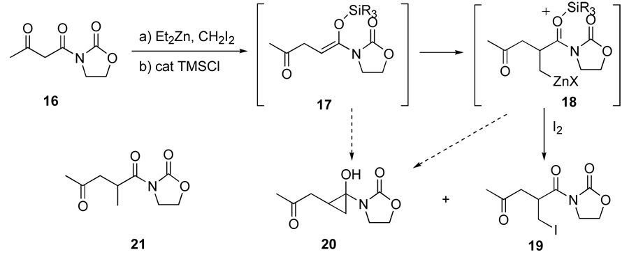 Scheme 4