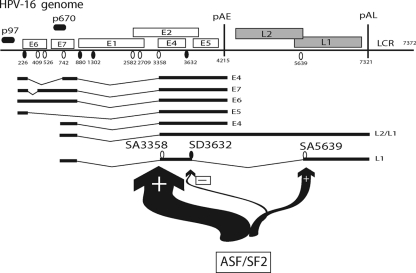 FIG. 9.