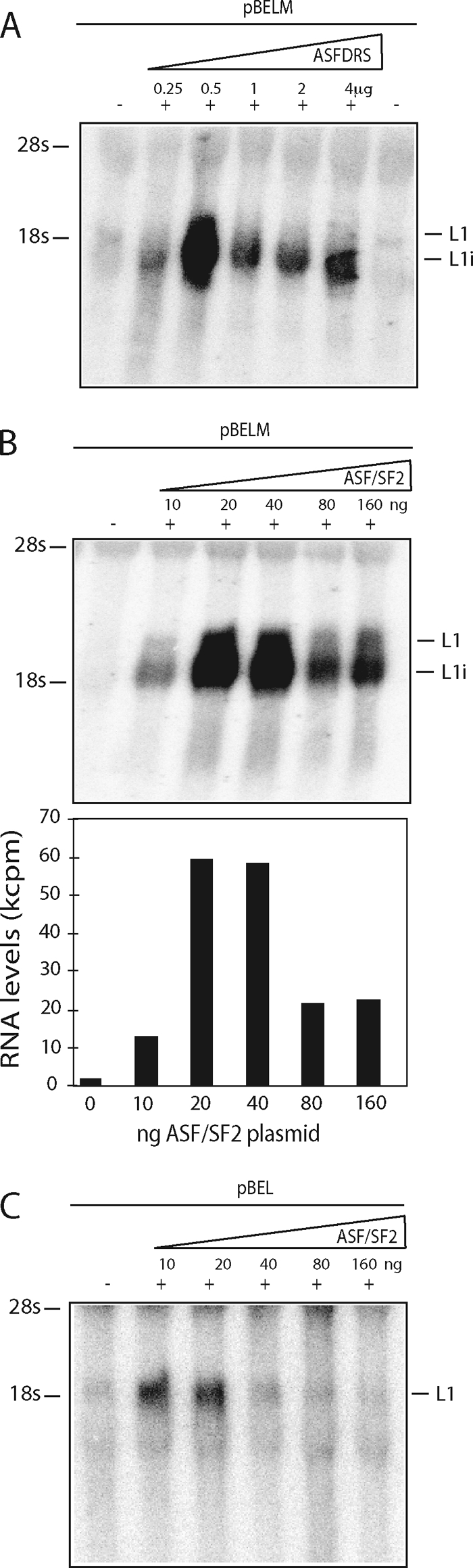 FIG. 7.