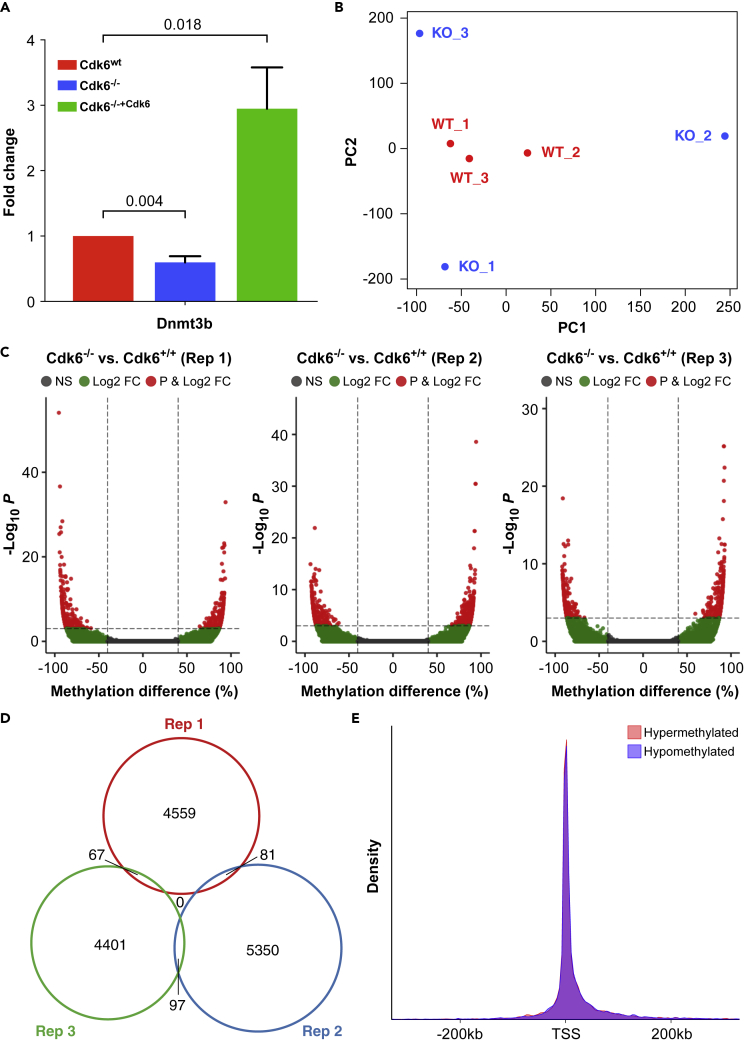 Figure 3