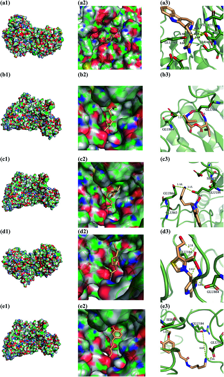 Fig. 10