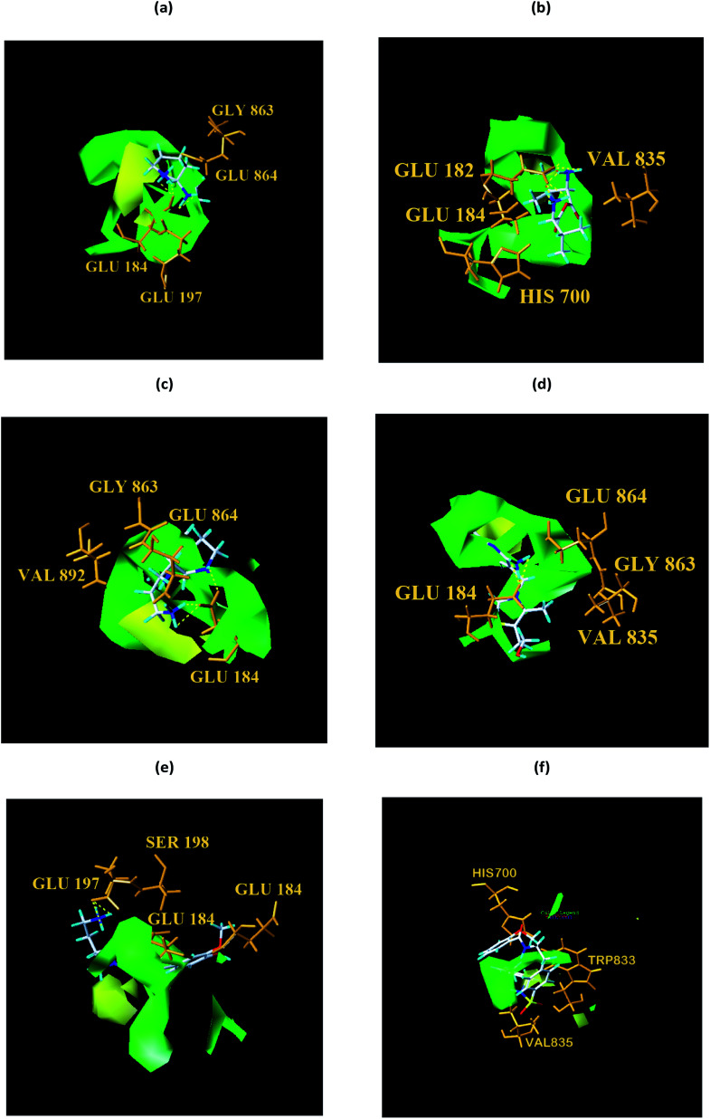 Fig. 17