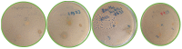 Figure 14