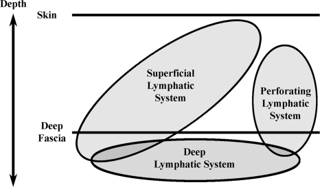 Fig. 9.