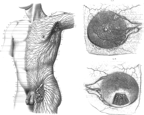 Fig. 1.