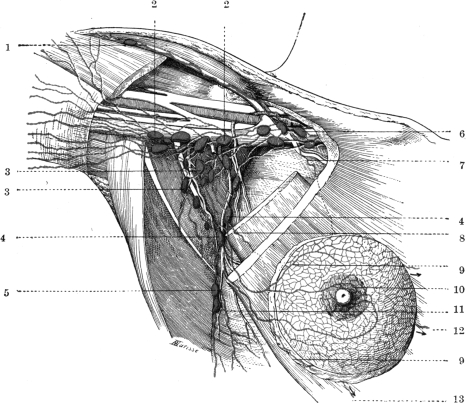 Fig. 8.