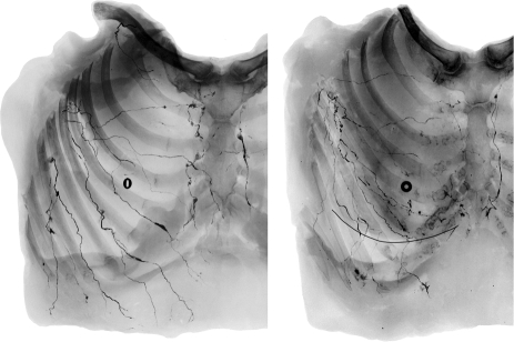 Fig. 3.