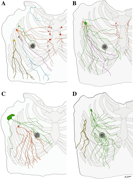 Fig. 4.