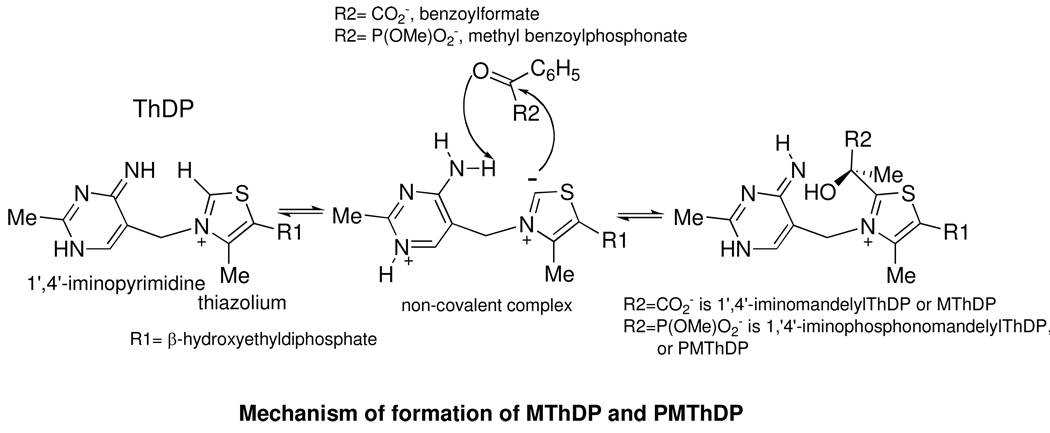 Scheme 2