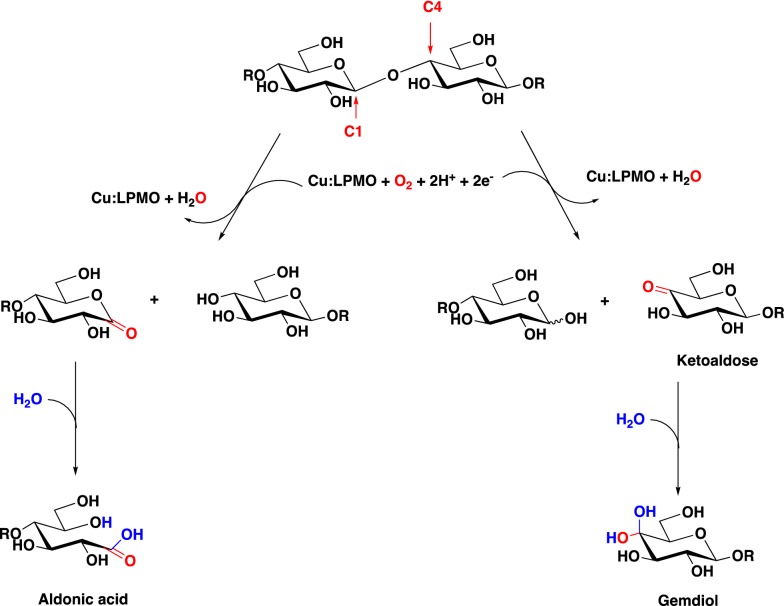 Scheme 1