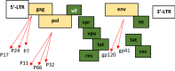 Fig. 11