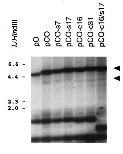 FIG. 9