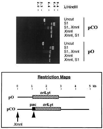 FIG. 6