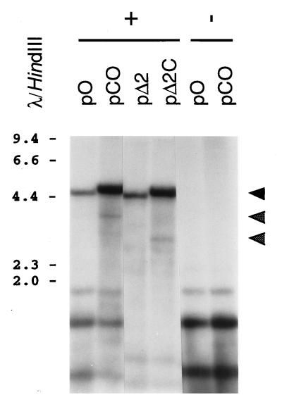 FIG. 5