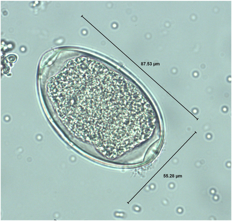 Fig. 4