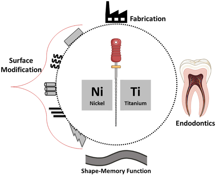 Advancing Nitinol From heat treatment to surface functionalization for