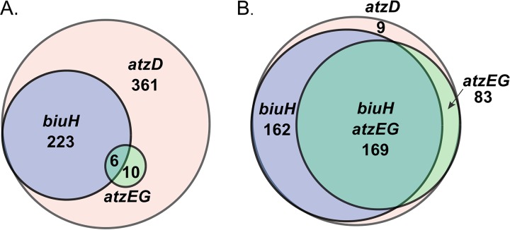 FIG 4