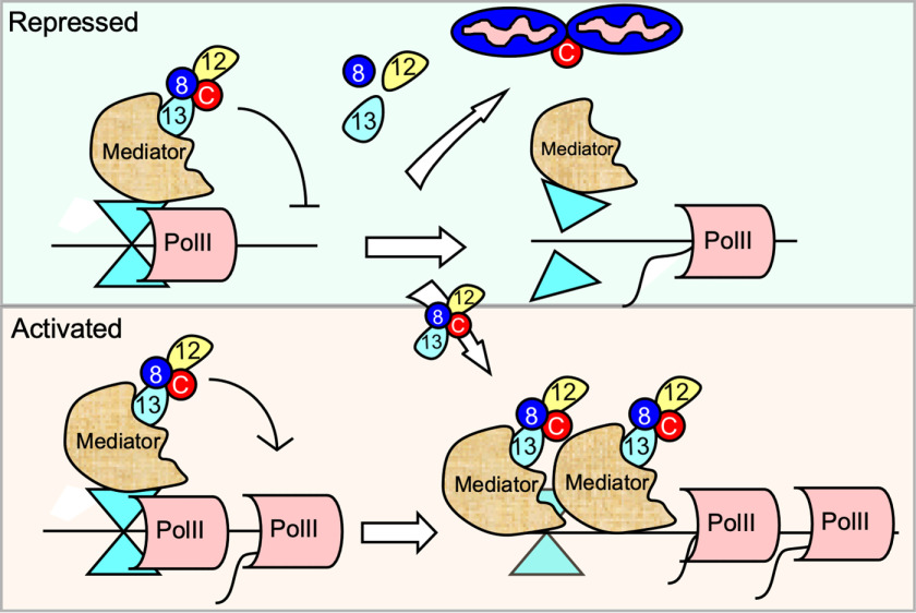 Figure 6.