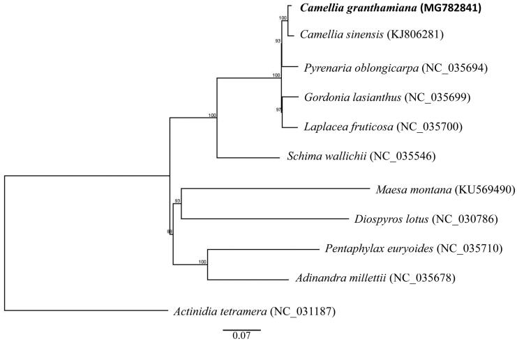 Figure 1.