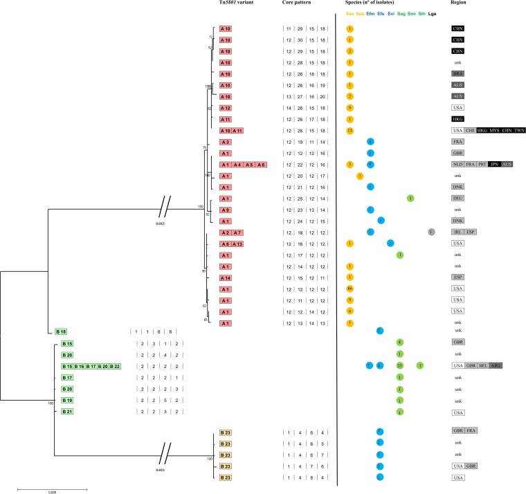 FIG 2