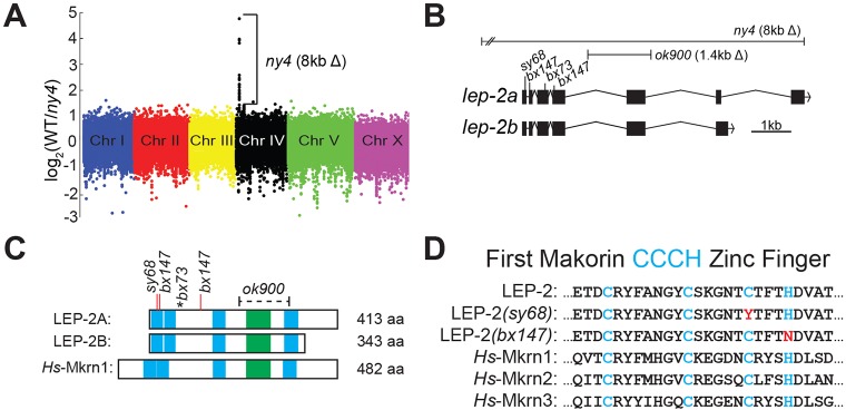 Fig. 3.