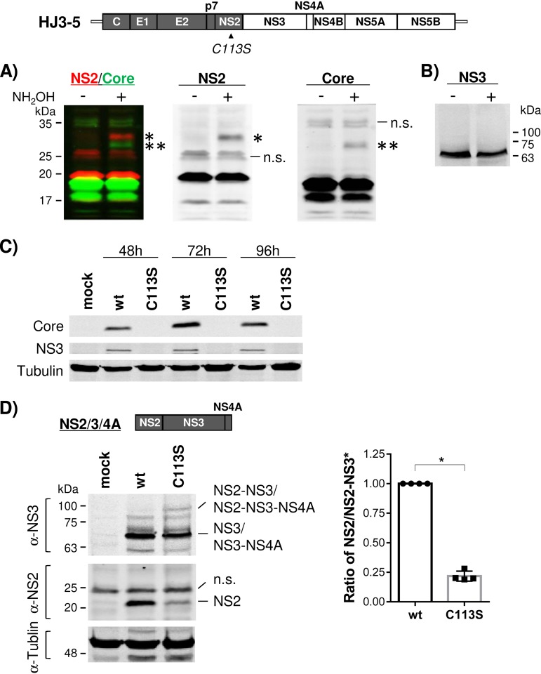 FIG 2