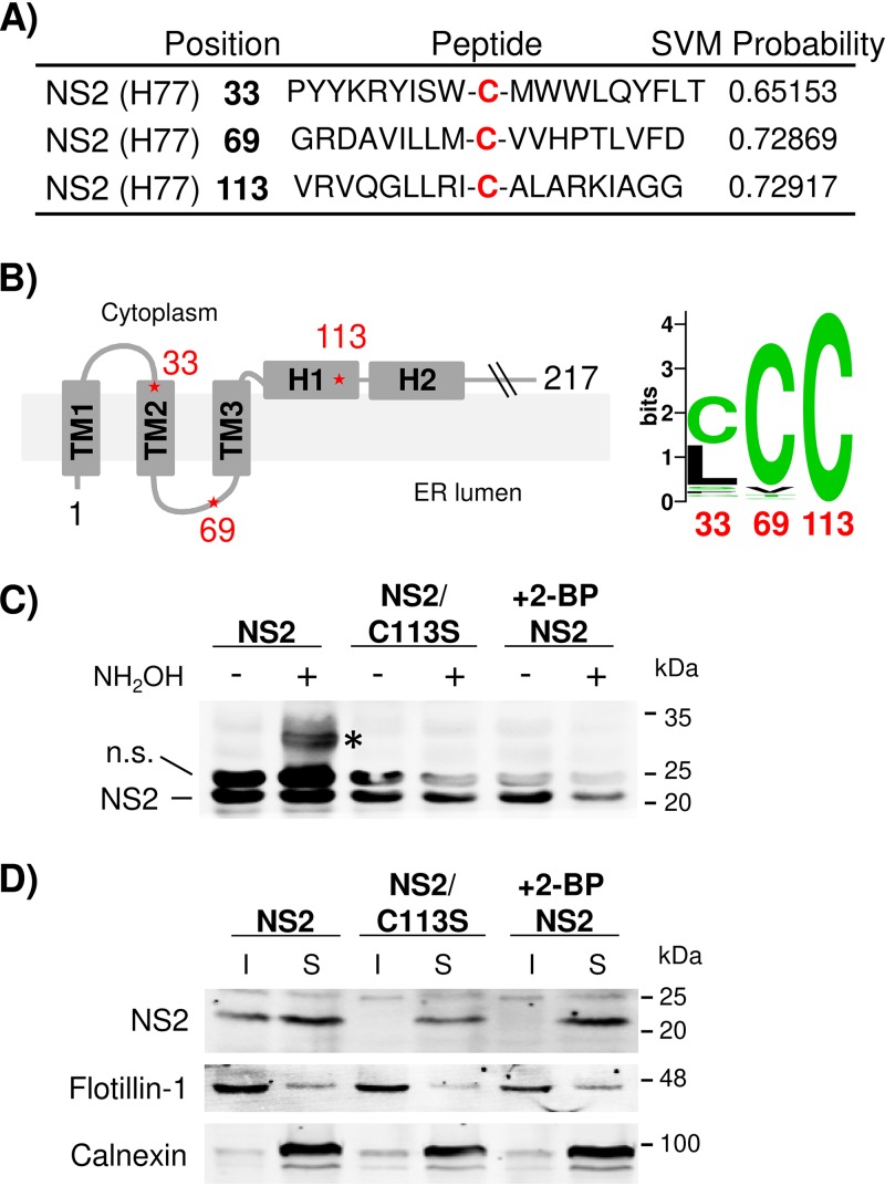 FIG 1