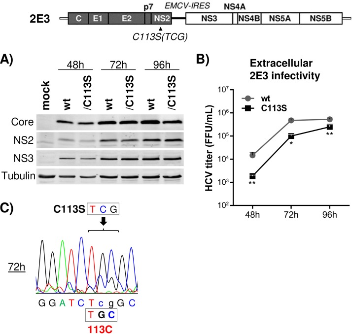 FIG 3