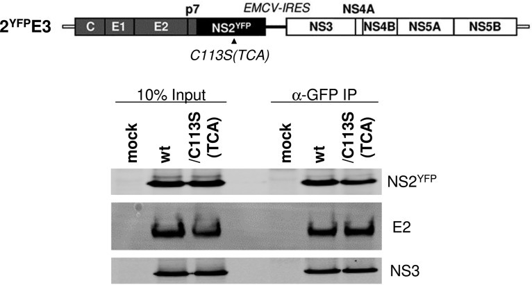 FIG 7