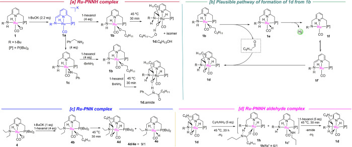 Scheme 3