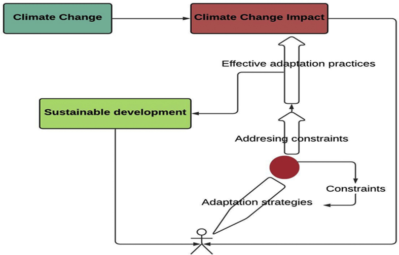 Figure 11