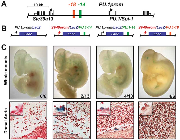 Fig. 6.