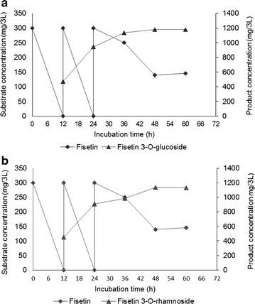 Figure 5