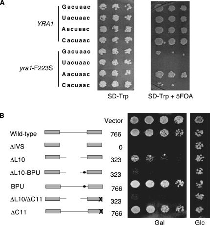 FIGURE 3.