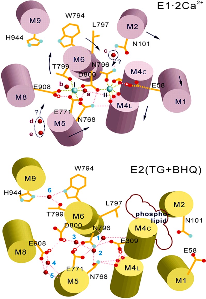 FIGURE 9.