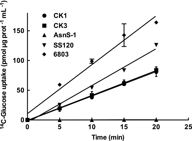 Fig. 1.