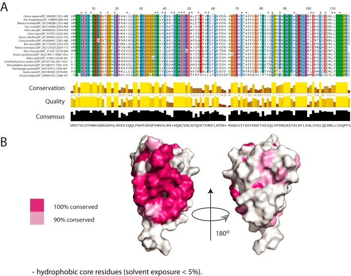 FIGURE 4.