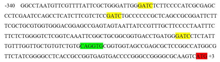 Figure 5