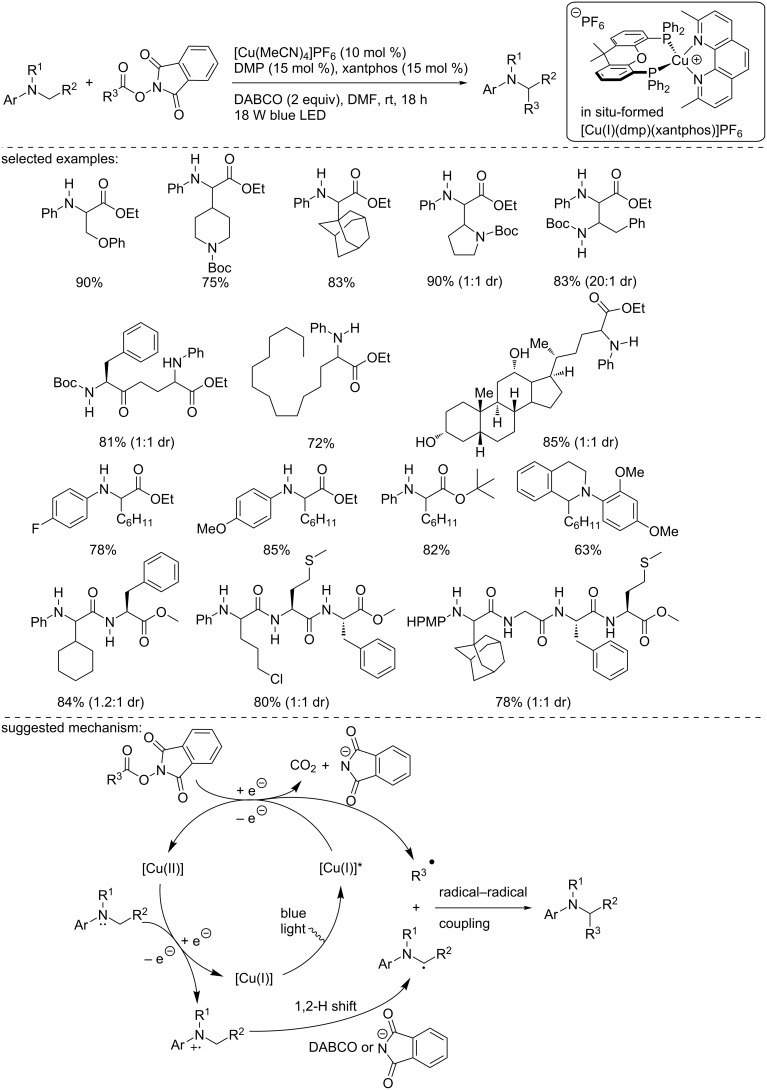 Scheme 25