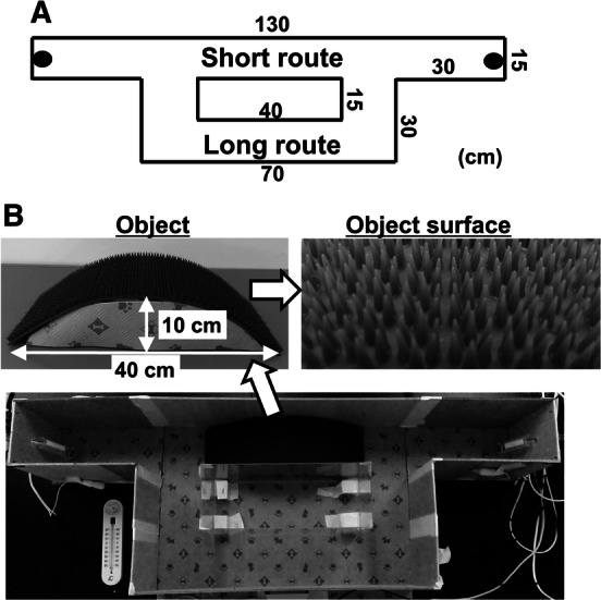 Fig. 1