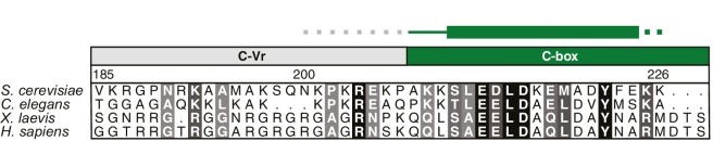 Figure 3—figure supplement 2.