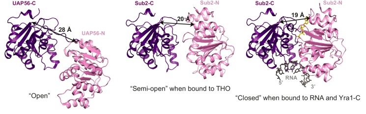 Figure 2—figure supplement 1.