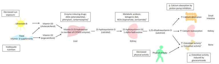 Fig. 1.