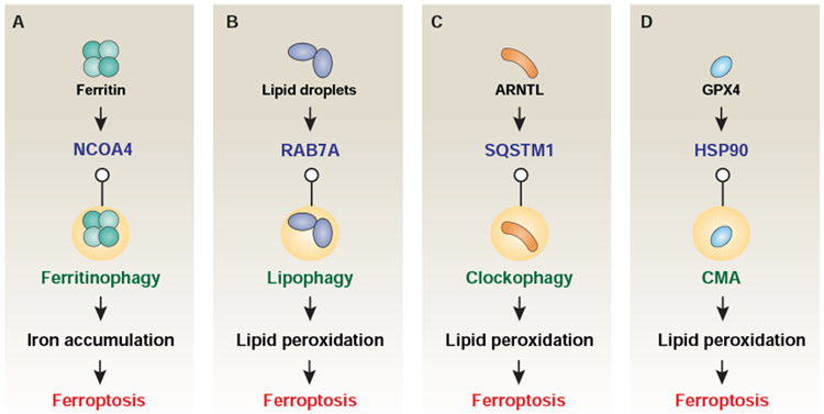 Figure 5.