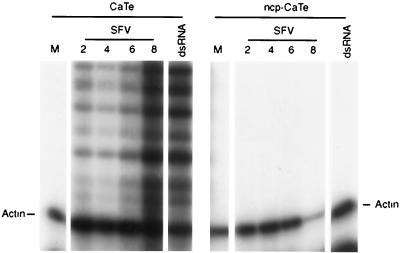 FIG. 5.