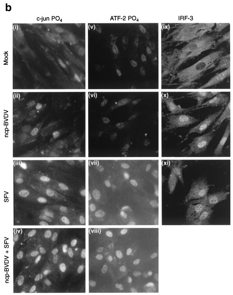 FIG. 7.