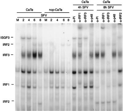 FIG. 8.